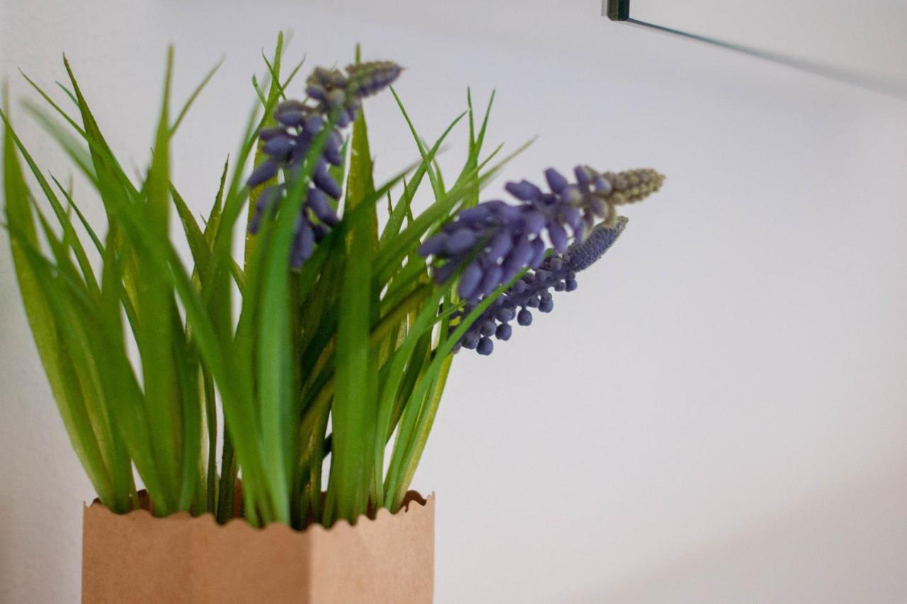 Budget Rooms Pilatus - Alpnachstad ภายนอก รูปภาพ